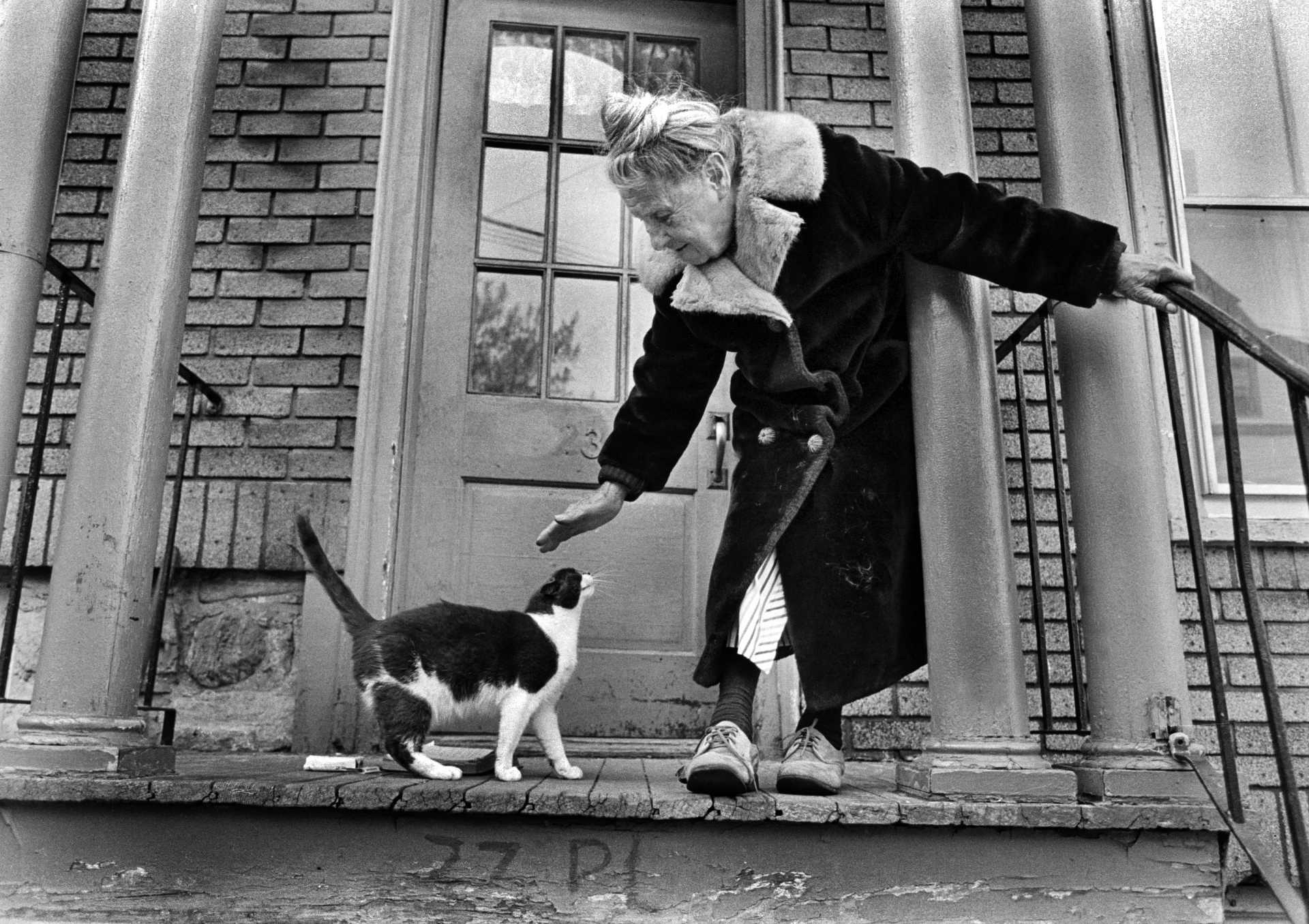 A lady and her cat on Library Place in Danbury. Late 1970’s