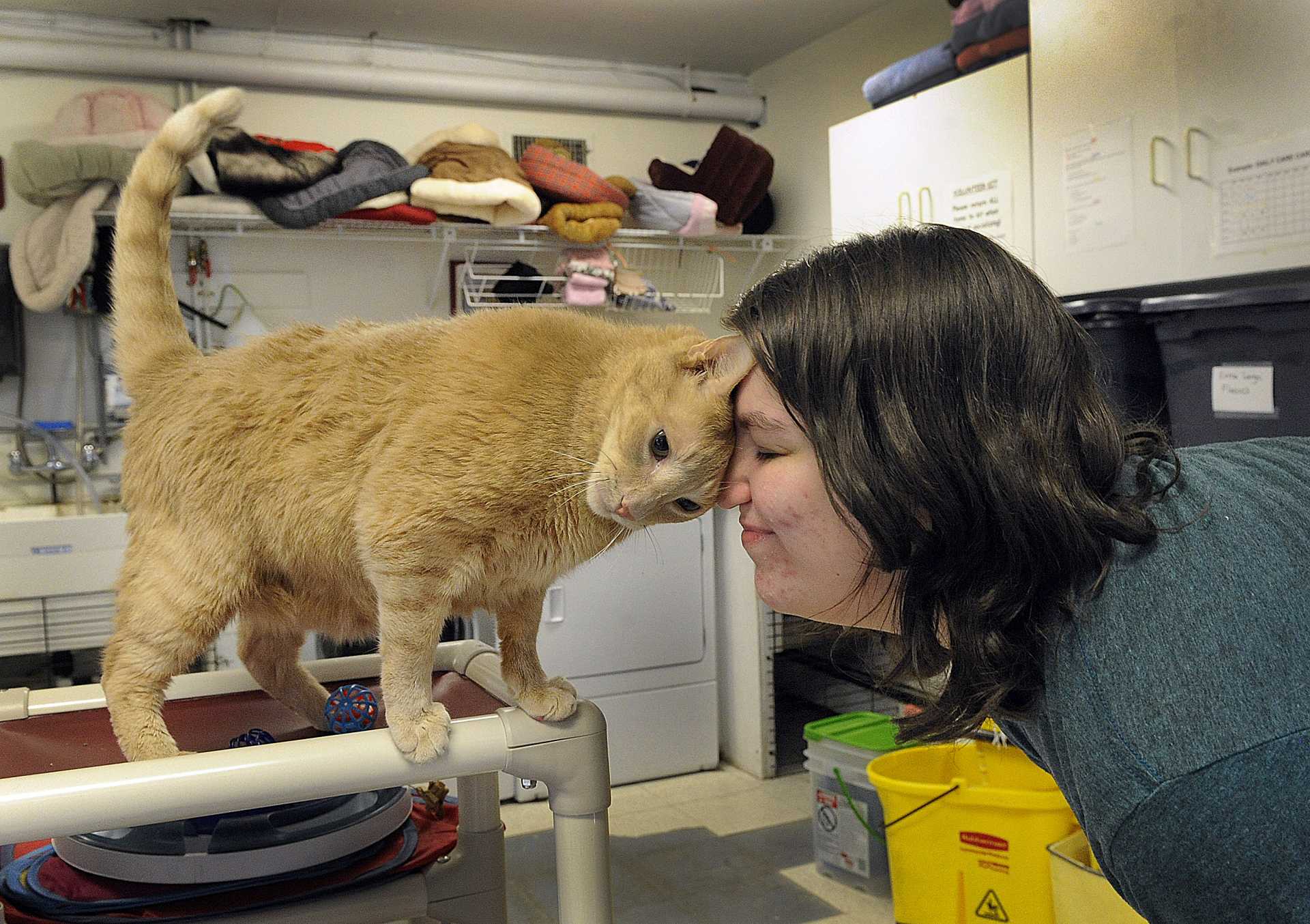 Greyson Nackid, 19, snuggles with Sunny, ''a really affectionate cat'' at the Danbury Animal Welfare. 