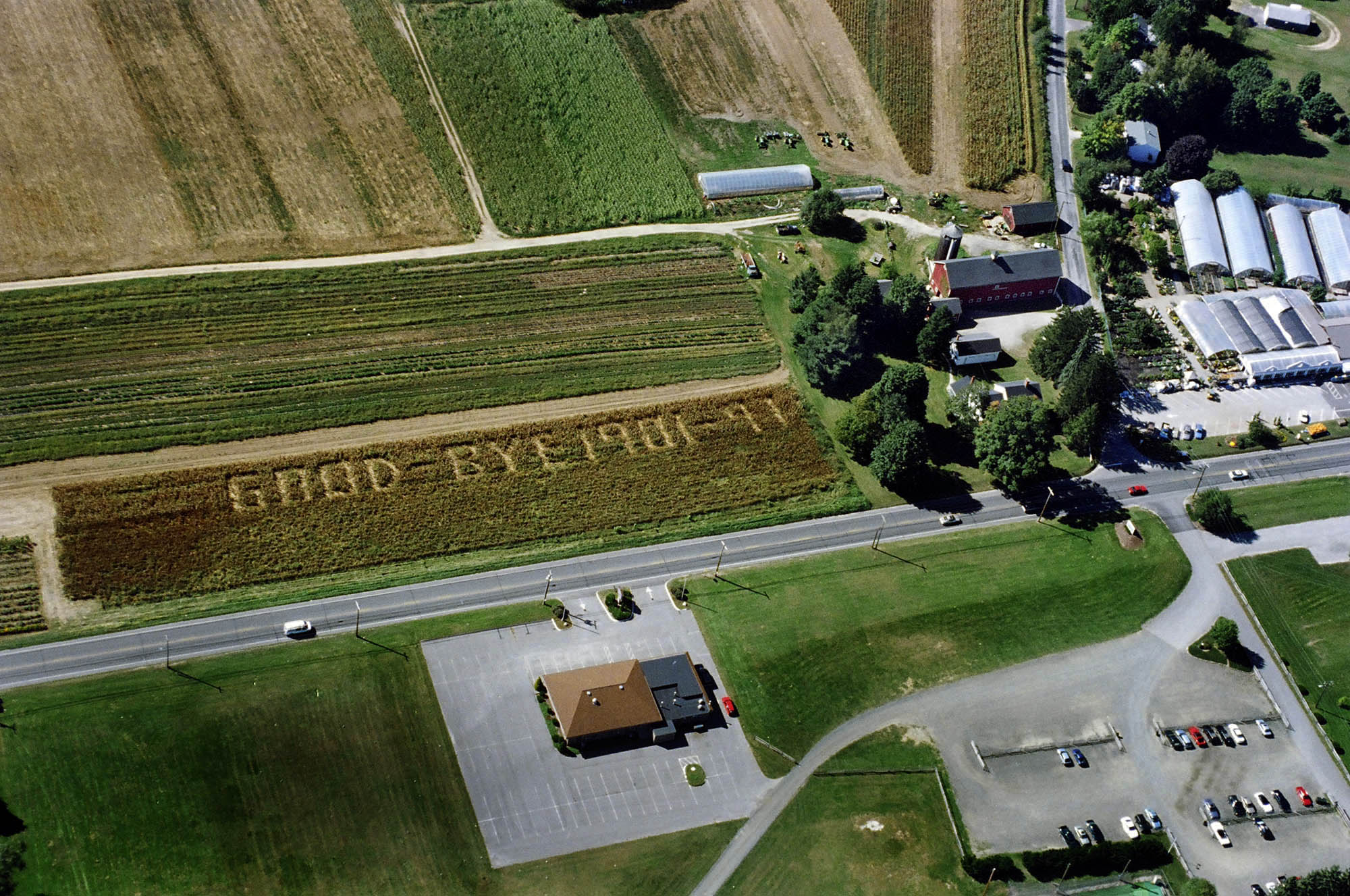 A farewell message from Larson Farm in New Milford is cut into the corn field after the final harvest.